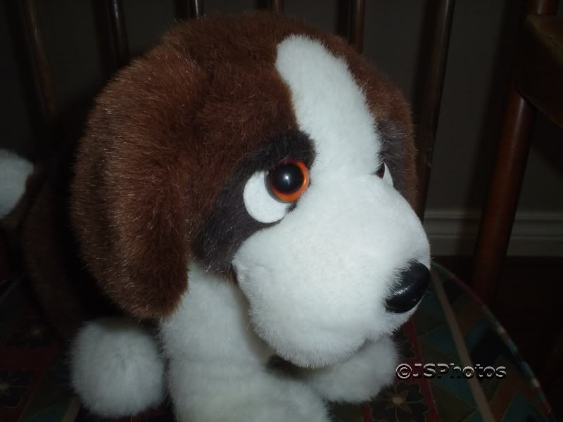 st bernard soft toy